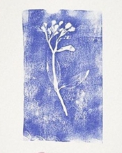 DaWanda past and pleasant Foam Print